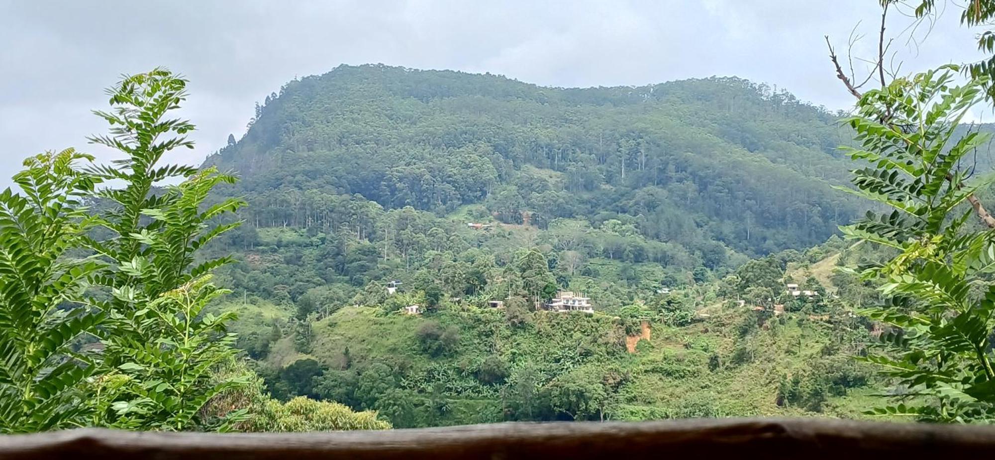 Sunlit Cottage Ella Εξωτερικό φωτογραφία